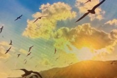 马竞5-2力克皇马，德比大战进球大战险爆冲突